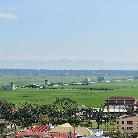 Enjoy The Morning Paddy Field In Sekinchan Exterior foto
